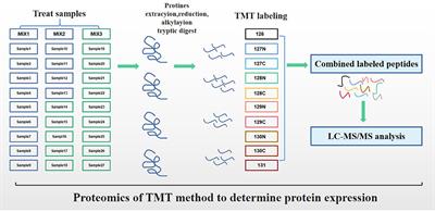 Plasma Proteomics Characteristics of Subclinical Vitamin E Deficiency of Dairy Cows During Early Lactation